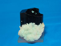 Tourmaline with Schorl on Cleavelandite