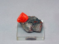 Wulfenite
