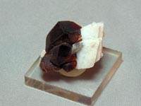 Garnet on Albite