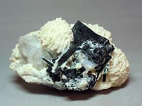 Tourmaline Variety Schorl, Quartz on Cleavelandite