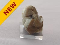 Wardite