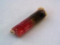 “Watermelon” Tourmaline